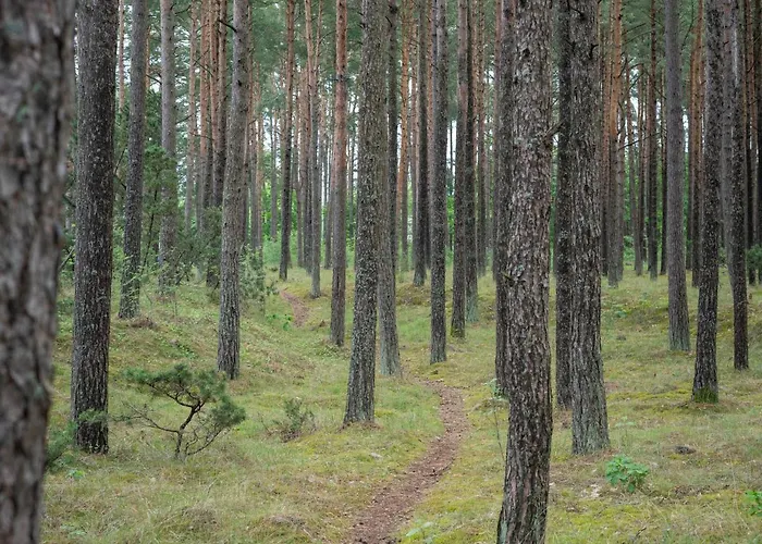 Bite 3* Паланга